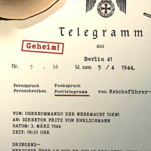 Chapter 19: A telegram in German from Himmler to Fritz is translated, revealing a cryptic plan. (posttelegramm.com)